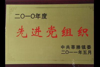 2010先進(jìn)黨組織